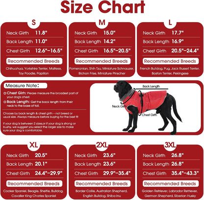 QBLEEV reflective dog jacket demonstrating low light visibility with luminous safety strips.