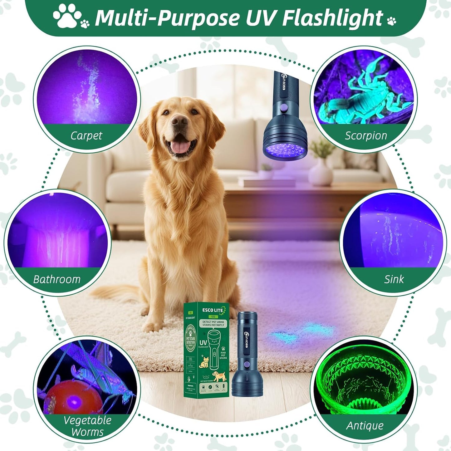 Esco Lite black light being used in a dark room for household inspection.