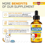 Liquid supplement for cat hip and joint mobility
