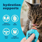 Cat Years daily feline supplement box showing cartoon cat illustrations