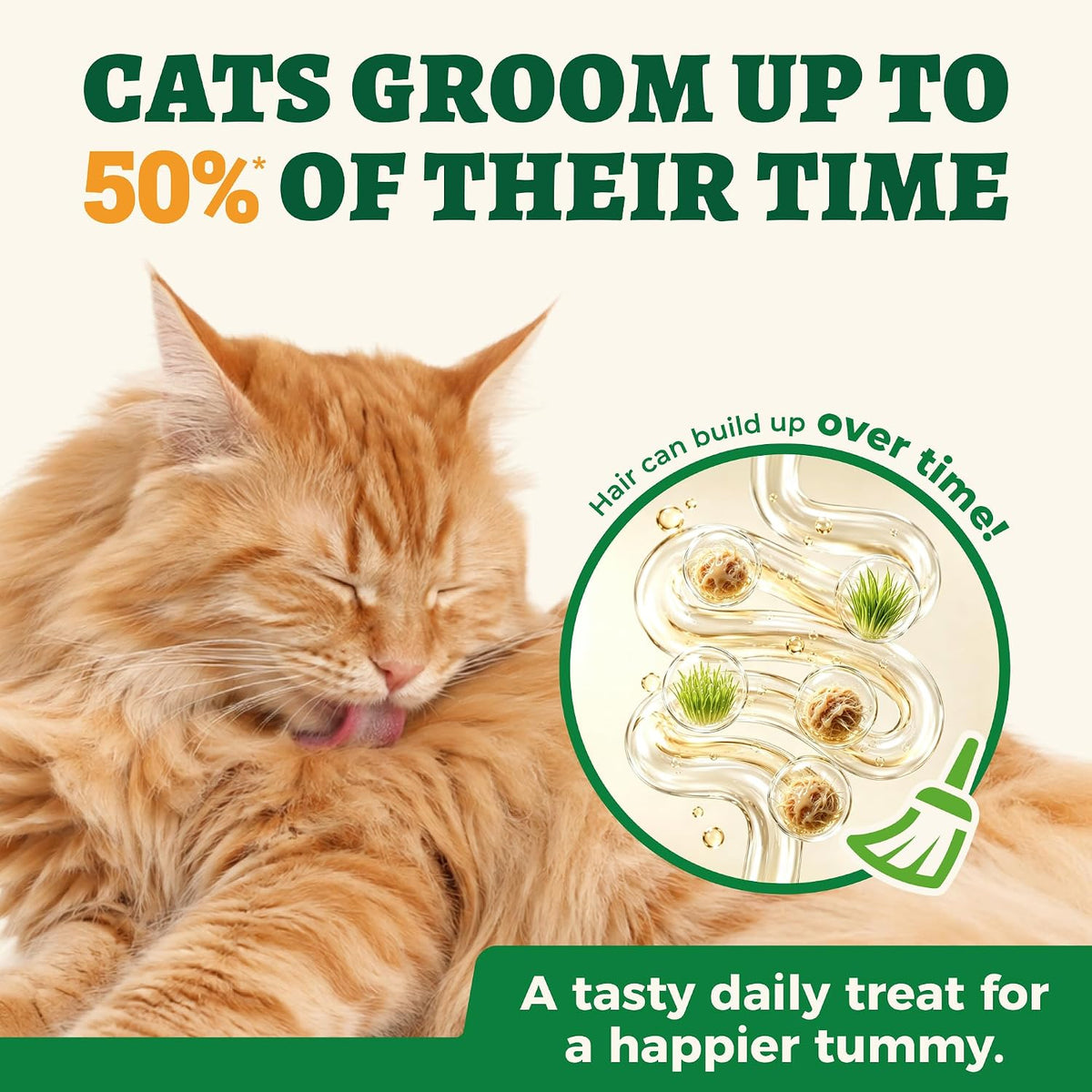 Wellix Cat Grass Treats with Catnip, Hairball & Digestive Support, 13.05 oz - Image 4
