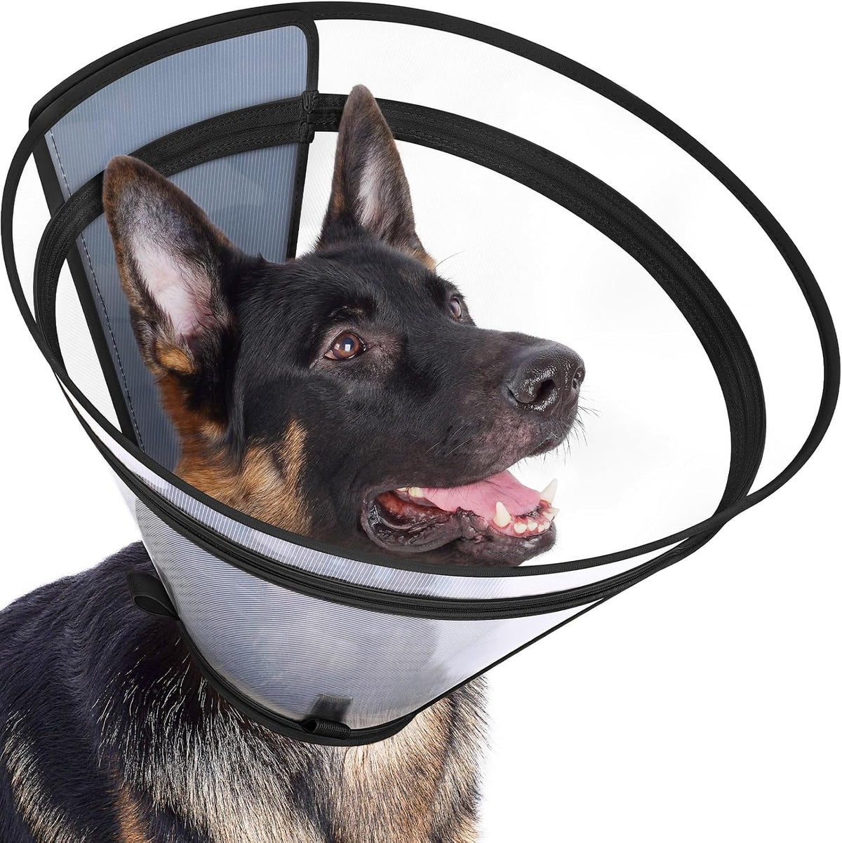 Didopet clear protective pet cone variant showing complete adjustable assembly