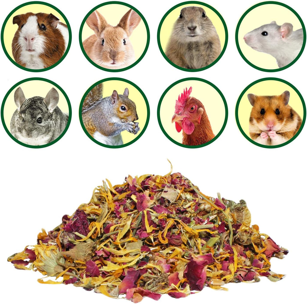 Exotic Nutrition herbivore treat varieties ingredient display
