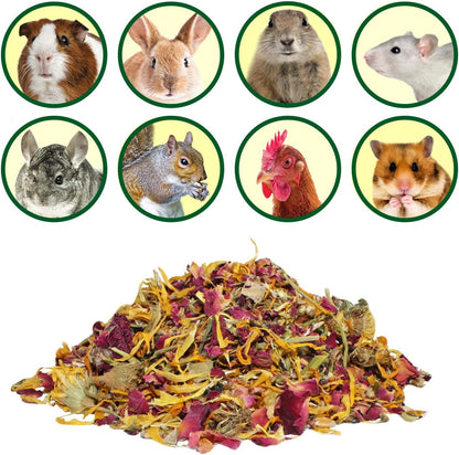 Natural rose hips and hibiscus pet treats showing detailed leaf textures