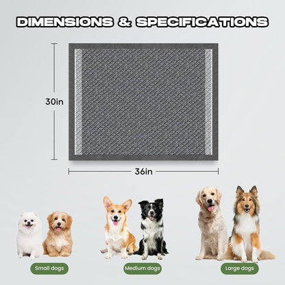 Doggo Doug extra large puppy pee pads floor placement demonstration