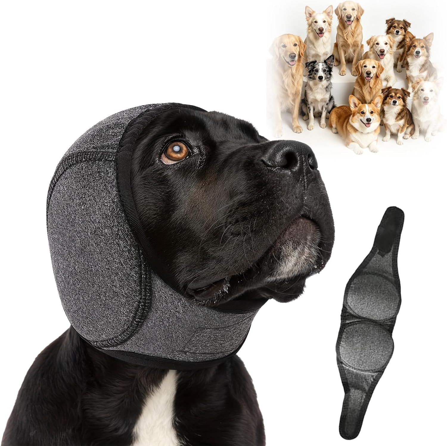 Noise Cancelling Ear Wrap, Adjustable Dog Ear Protection Wrap,Noise Protection Firework Thunder, Dog Ear Muffs Noise Protection, Quiet Silent for Grooming Bathing & Swimming (Blue,L) - Image 10
