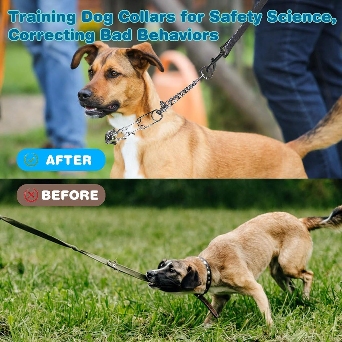 Silver pinch collar for small dogs with protective rubber tips