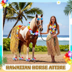Full set of Janinka 14 piece summer horse costume kit