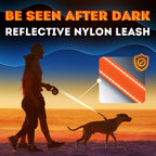 Iwoofi reflective dog leash in orange and black