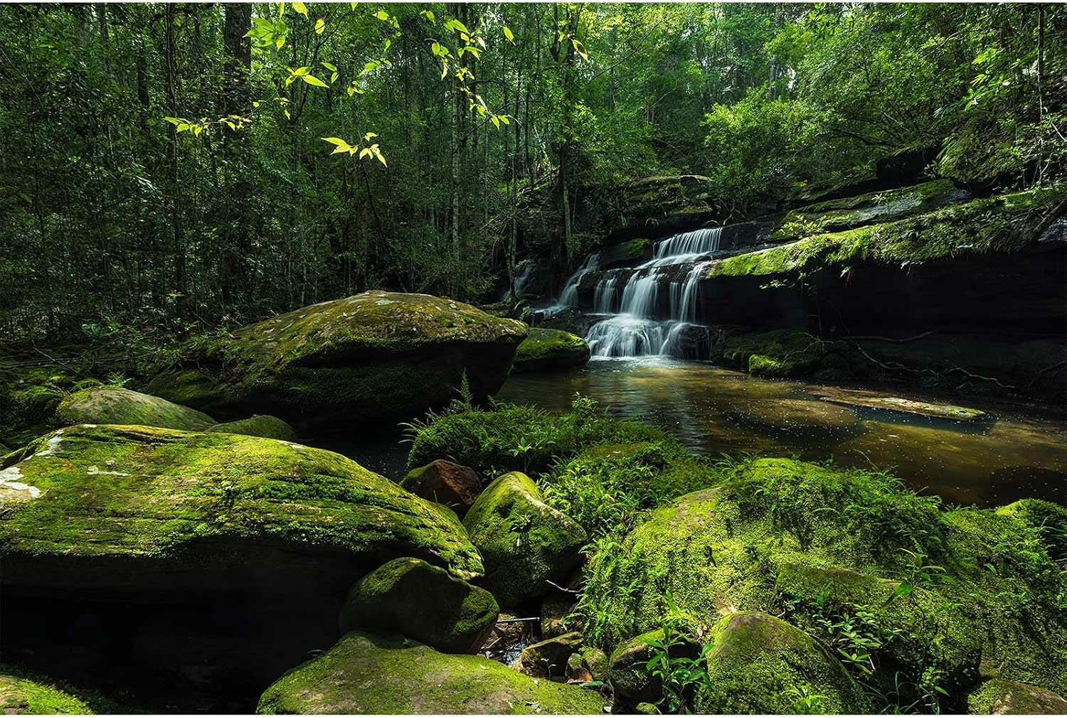 Waterfall Jungle Aquarium Background Fantasy Magic Forest Landscape Rainforest Style Fish Tank Background Tropical Flowers Mushrooms Stream Cascading Falls Reptile Tank Enclosure Backgrounds 24x12in - Image 14