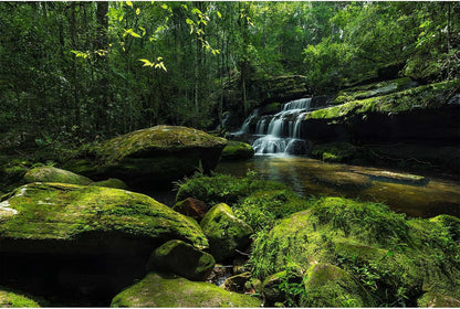 Waterfall Jungle Aquarium Background Fantasy Magic Forest Landscape Rainforest Style Fish Tank Background Tropical Flowers Mushrooms Stream Cascading Falls Reptile Tank Enclosure Backgrounds 24x12in - Image 14