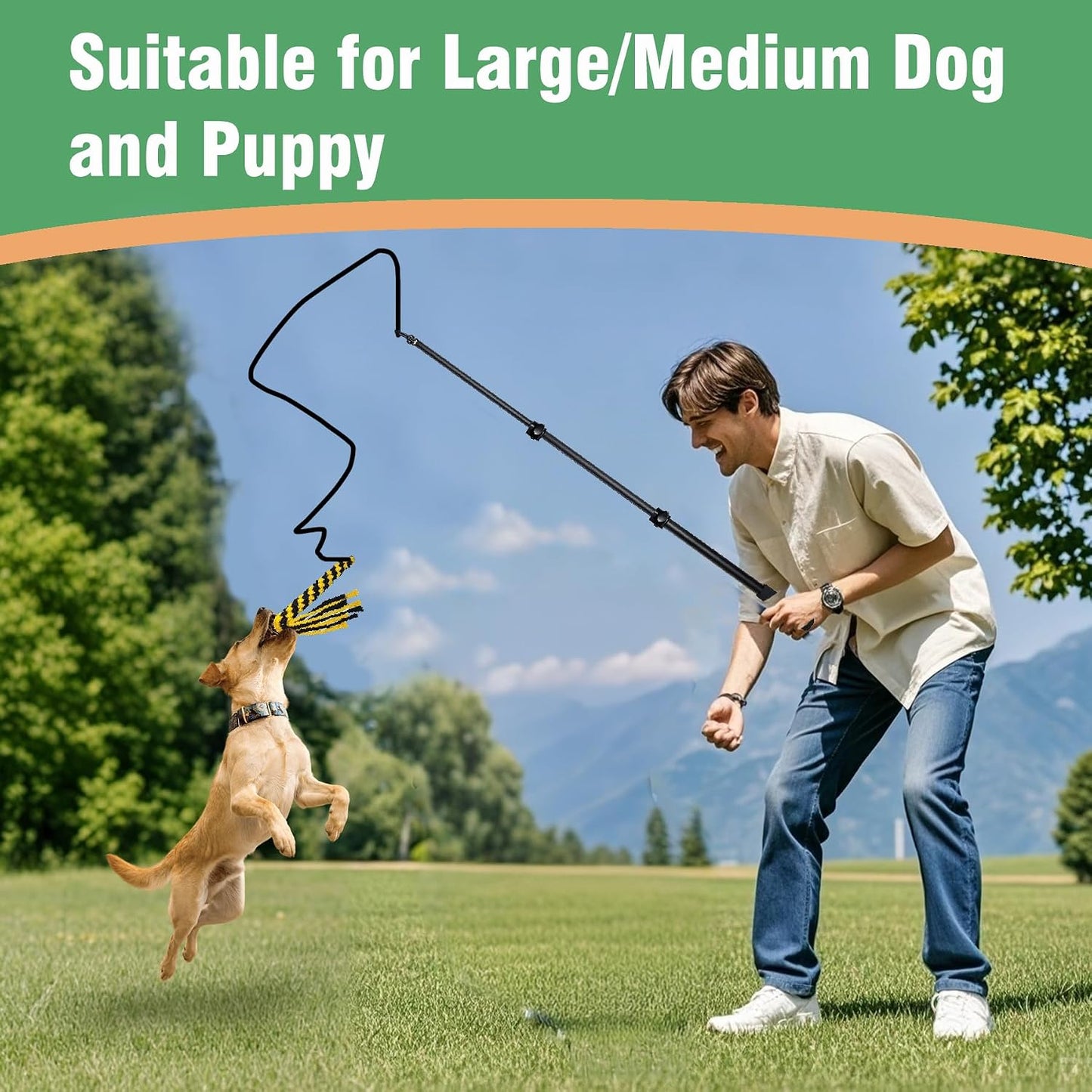 SailStart premium aluminum alloy pet teaser wand showing soft sponge handle detail