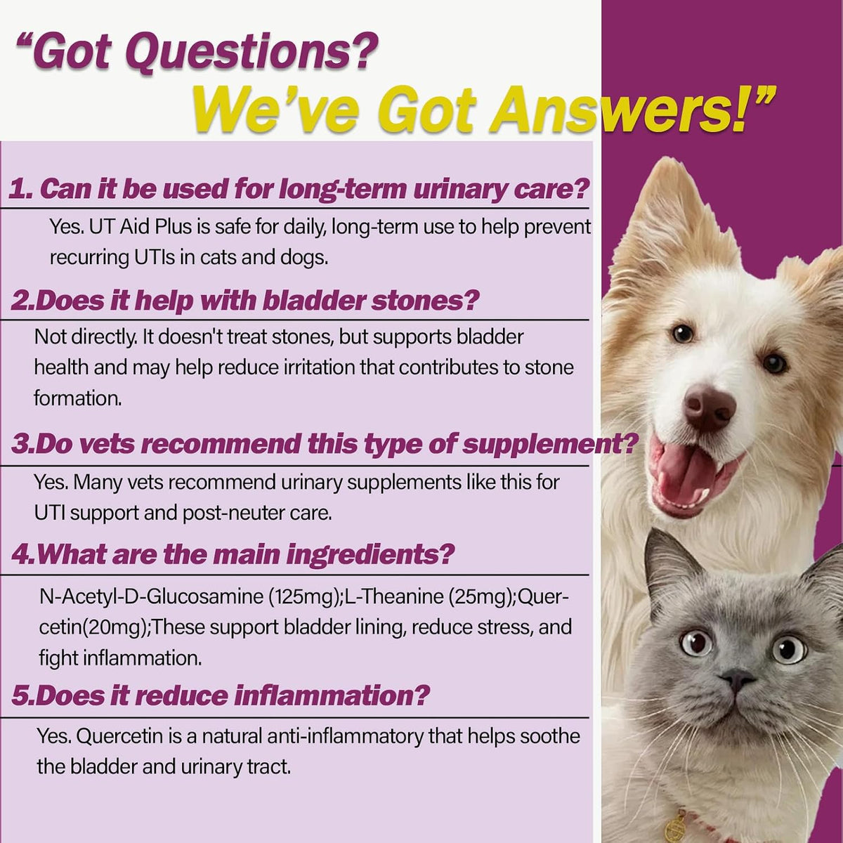 Natural UTI Treatment for Cats & Dogs - Antibiotic-Free Urinary Tract Infection Support Supplement - Bladder & Kidney Health - Incontinence Prevention - 30 Capsules - Image 6