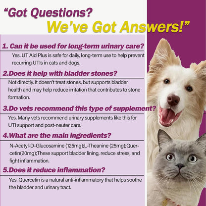 Natural UTI Treatment for Cats & Dogs - Antibiotic-Free Urinary Tract Infection Support Supplement - Bladder & Kidney Health - Incontinence Prevention - 30 Capsules - Image 6