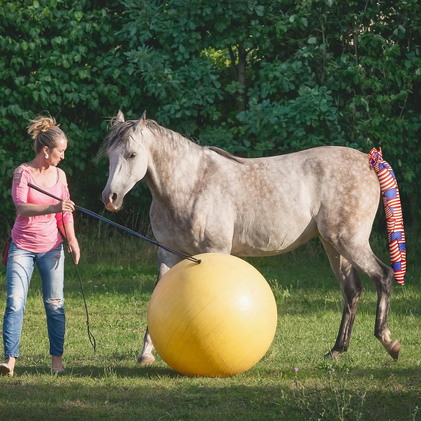 Horse tail with protective tail bag installed