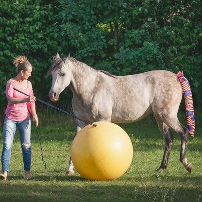 Horse tail with protective tail bag installed