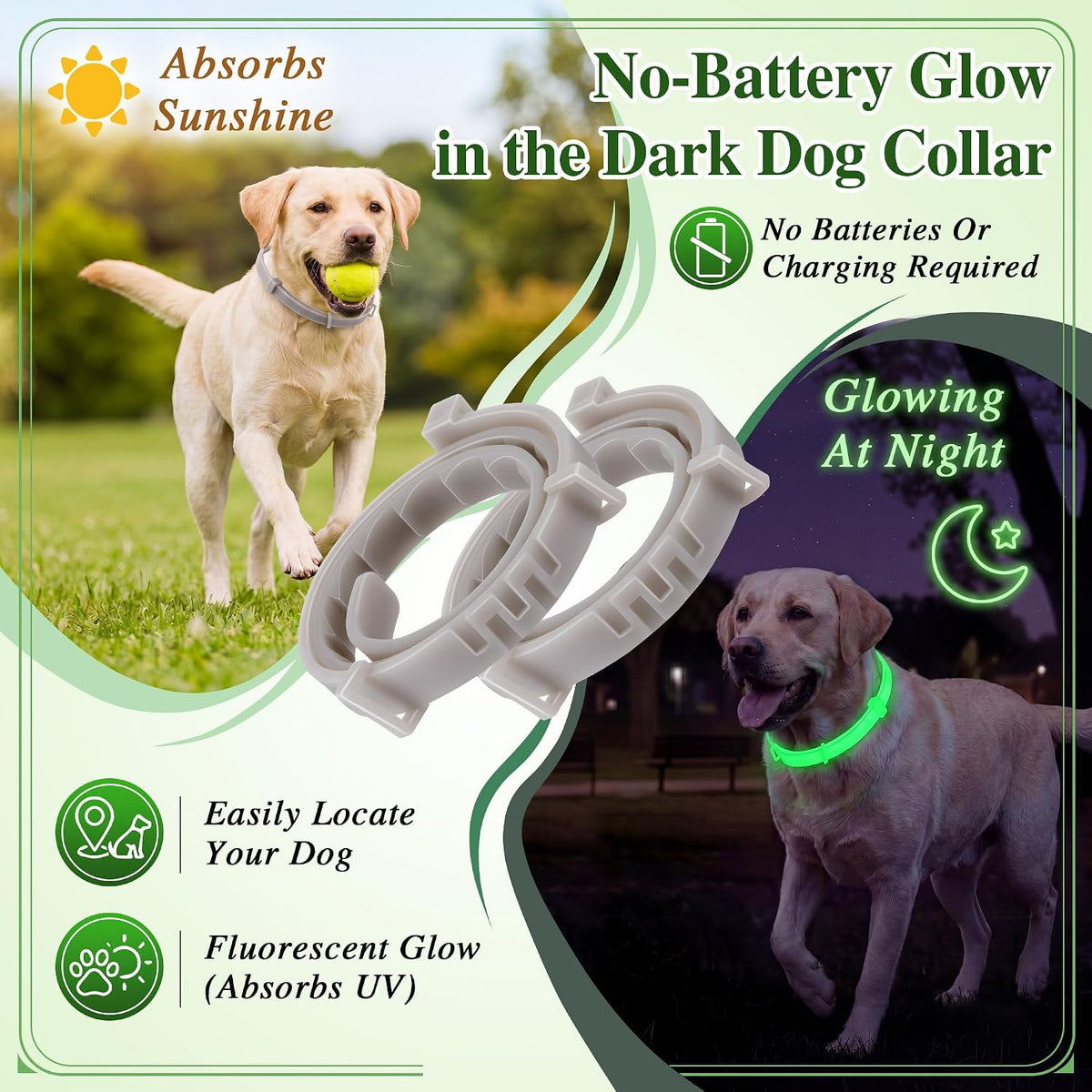 Close up of adjustable buckle on dog collar