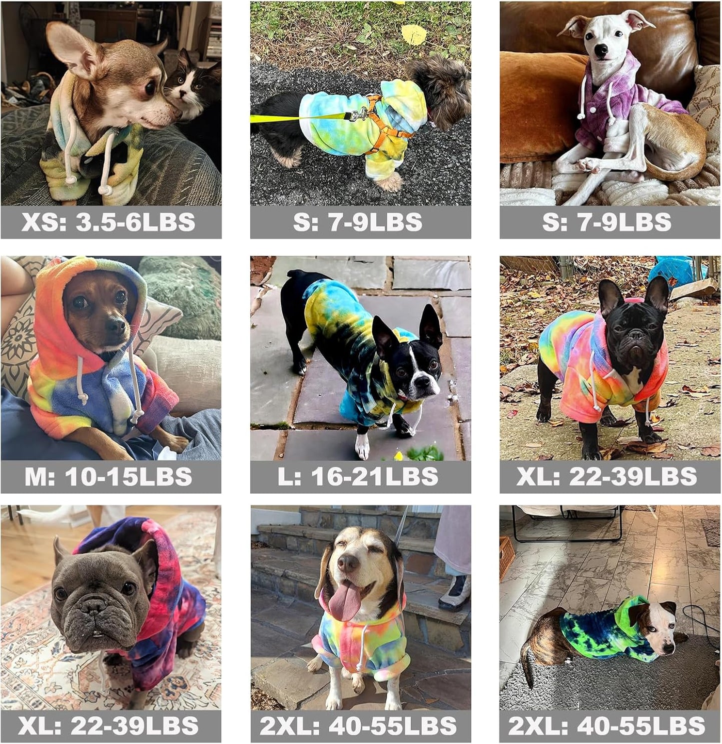 Small dog wearing multicolor tie dye winter hoodie