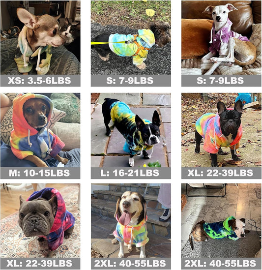 Small dog wearing multicolor tie dye winter hoodie