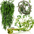 Hercocci reptile vines front view