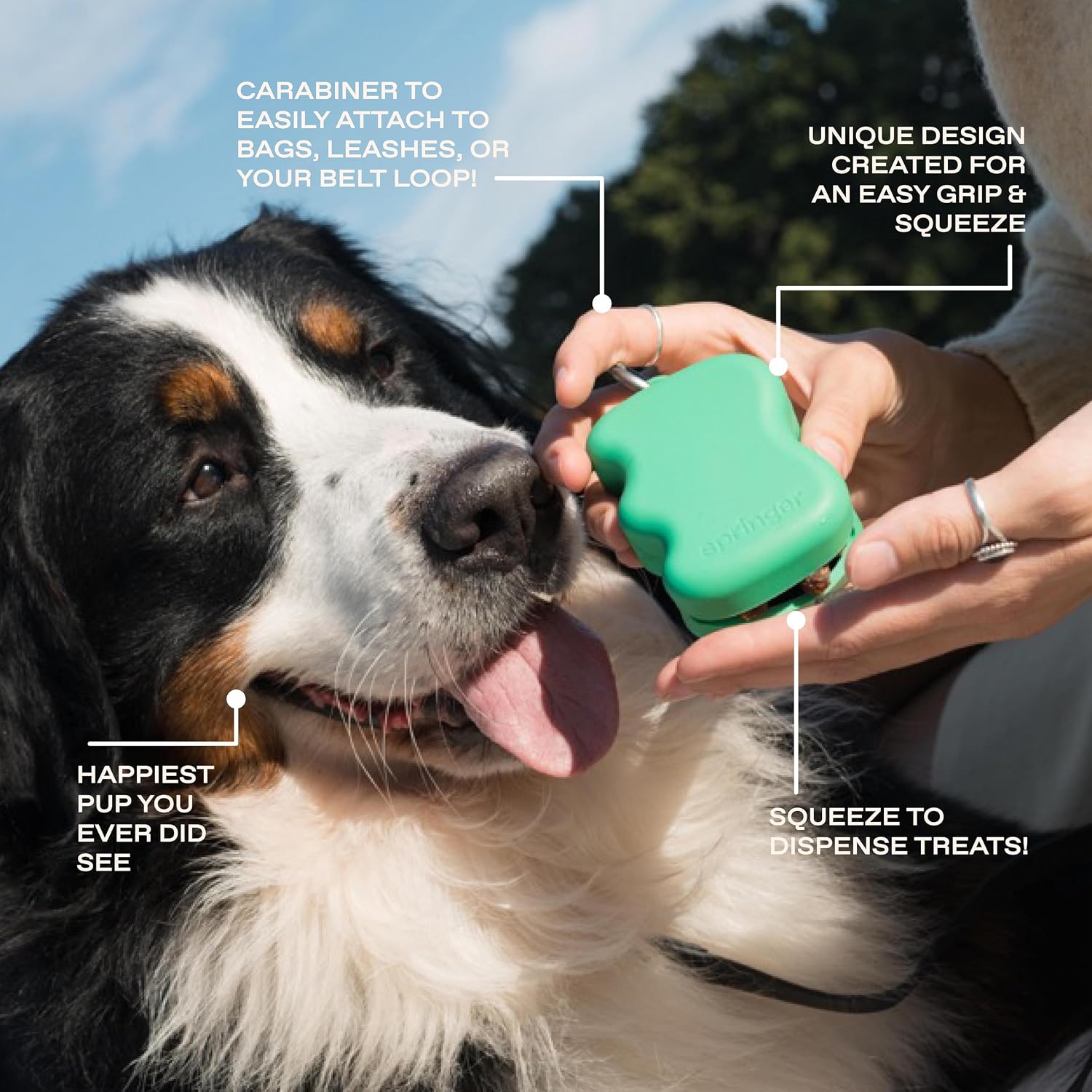 Springer food grade silicone treat dispenser pocket design
