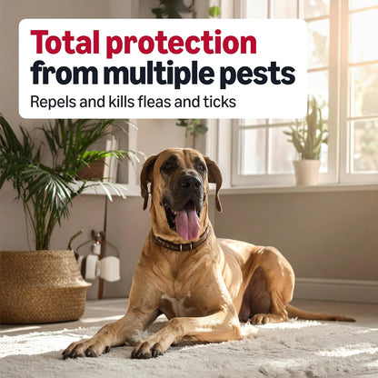Back label details of Amazon Basics tick prevention showing active ingredients and weight specifications.