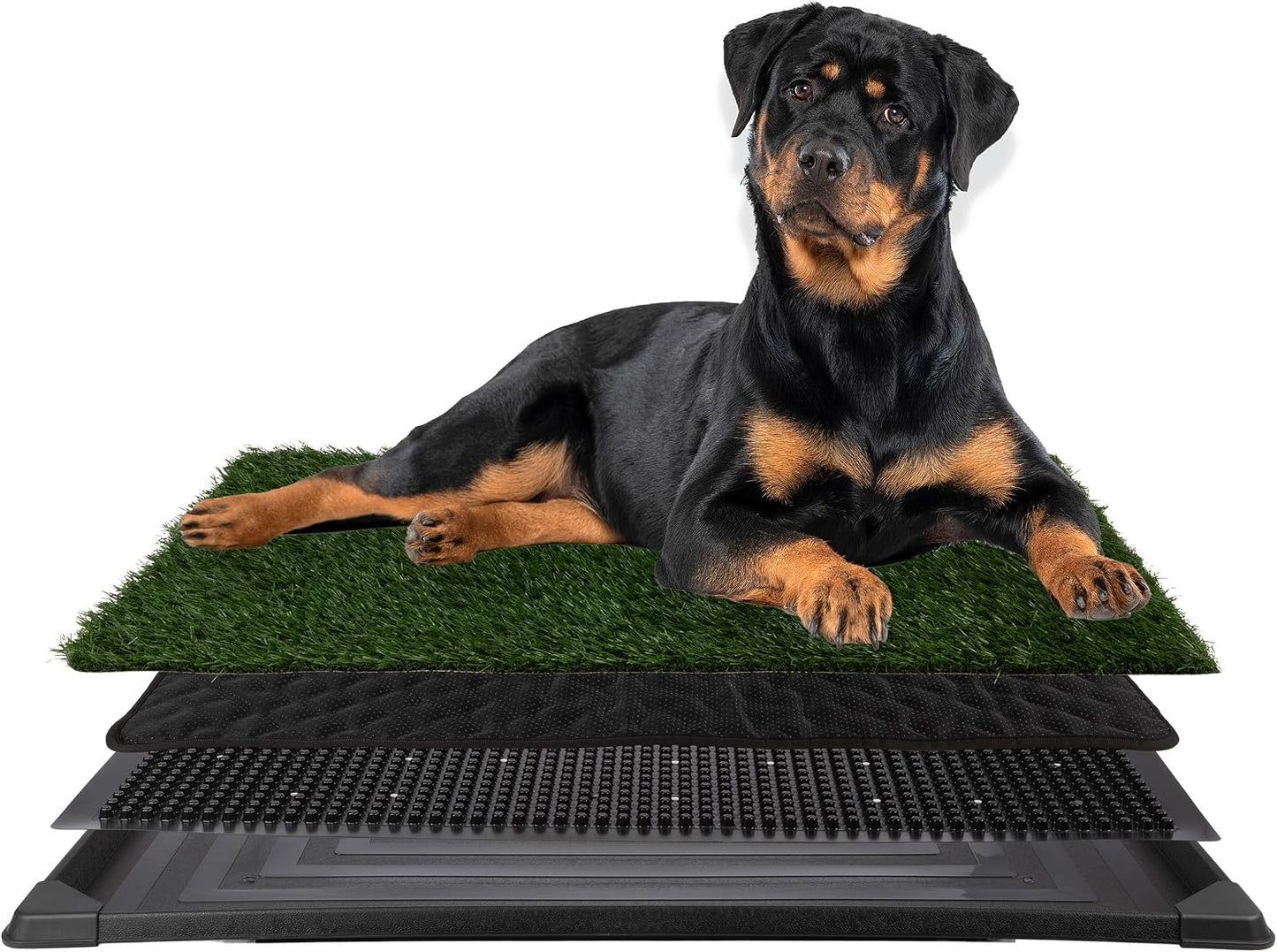 Top down view of 16x20 inch puppy potty trainer