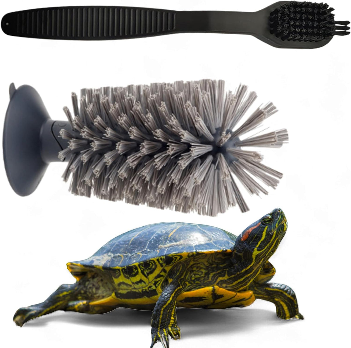 Homedy Crafts turtle shell cleaning suction brush front view attached to glass