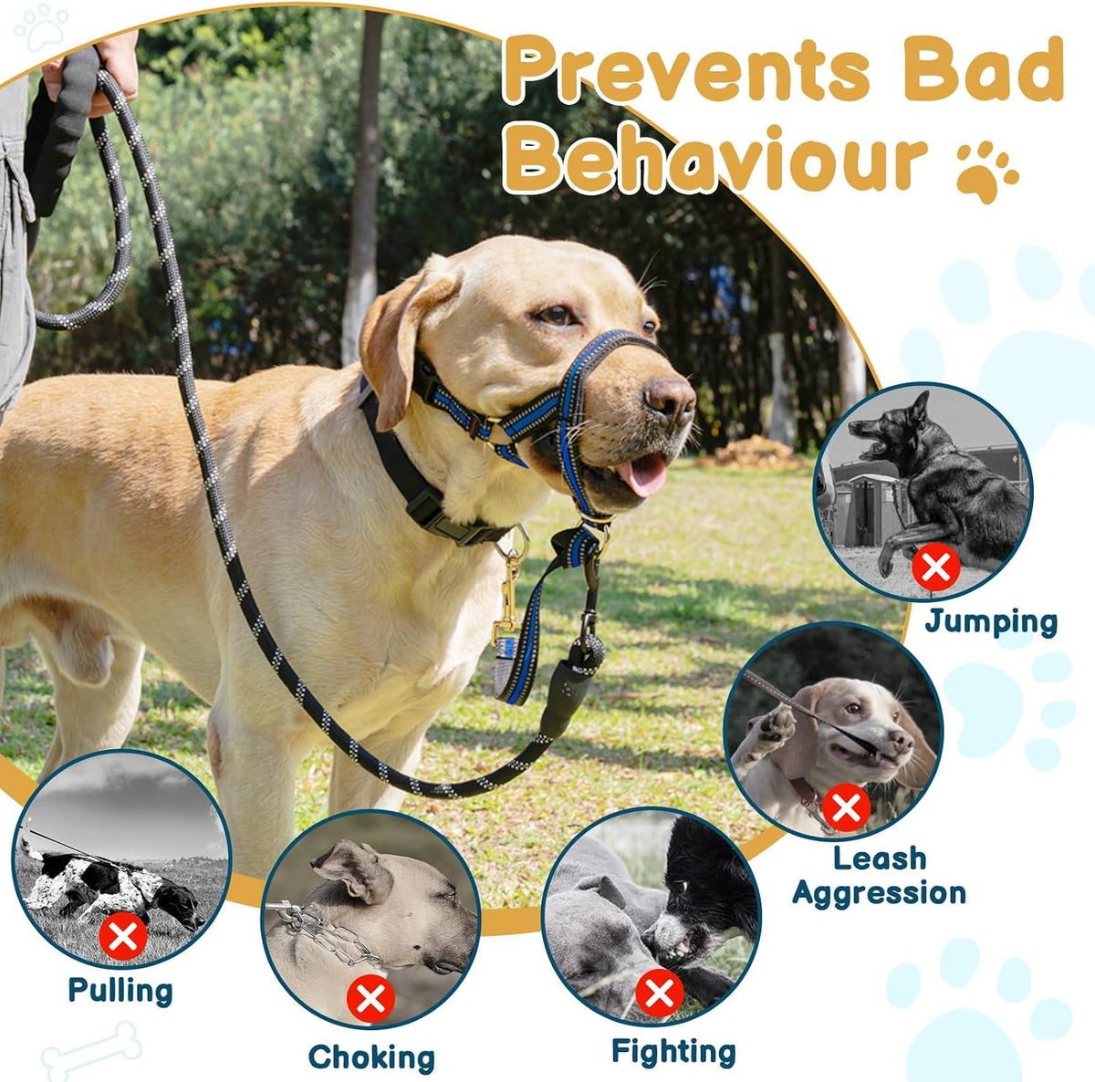 Barkless no pull dog head halter front view
