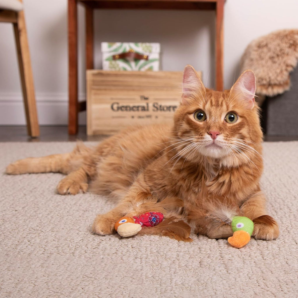 Orange and green plush bird toys for cats