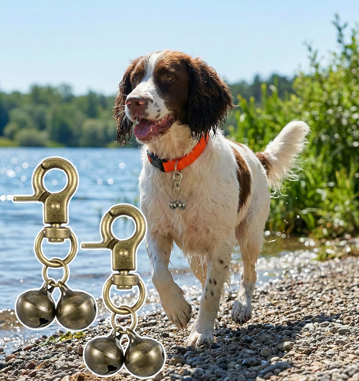 Maxqzin rust resistant outdoor hiking bell for pet collars showing the sturdy metallic build quality.