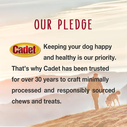 Full packaging of 50-count Cadet dog treats for easy identification