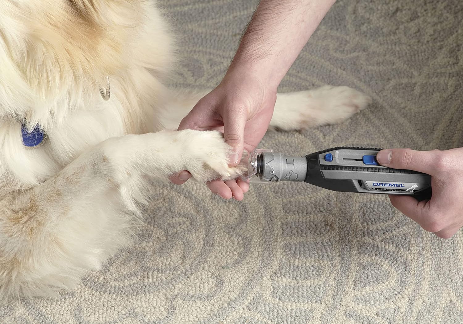 Humane pet nail grinder kit showing all components including sanding bands and power adapter