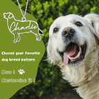 Custom dog name necklace in gold finish showing personalized script lettering