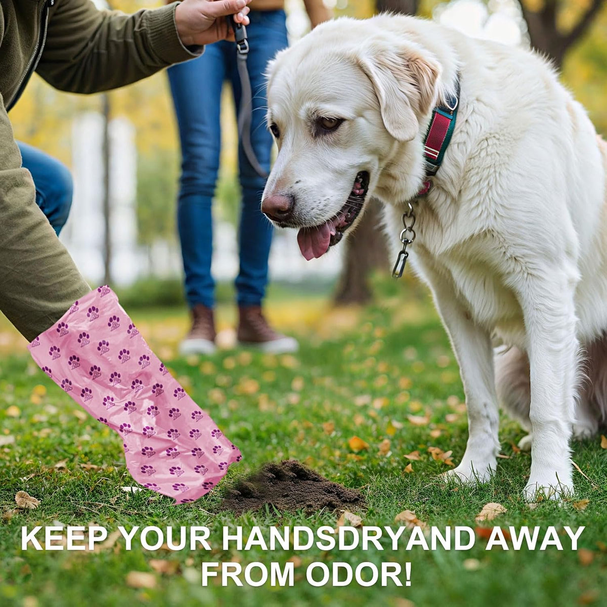 Biodegradable doggie waste disposal set including ten rolls and portable carabiner dispenser.
