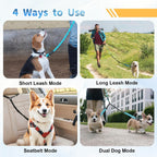Leosasa reflective double dog leash showing high visibility stitching for nighttime safety.