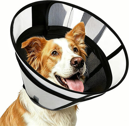 Dog with soft transparent recovery cone resting