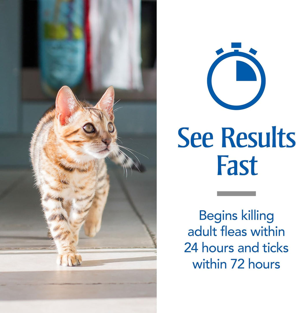 PetArmor cat pest control treatment box details