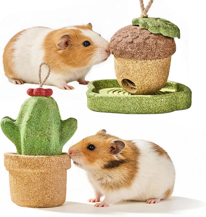 Rodizoo guinea pig chew toys pack front view showing mushroom and tree shapes