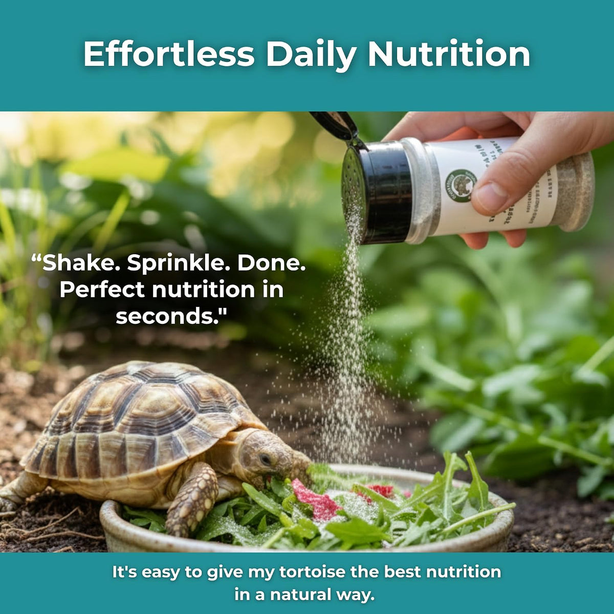 Herpetologist formulated high fiber supplement jar for grassland tortoises