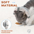 Small kitten wearing the orange Supet soft anti scratch head cone alternative