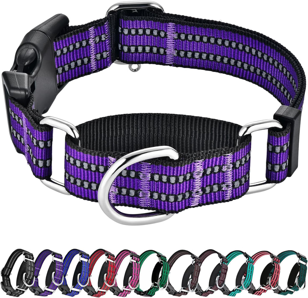 Hikiko martingale dog collar purple front view reflective training gear