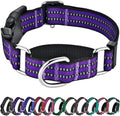 Hikiko martingale dog collar purple front view reflective training gear