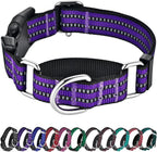 Hikiko martingale dog collar purple front view reflective training gear