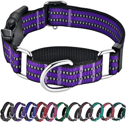 Hikiko martingale dog collar purple front view reflective training gear