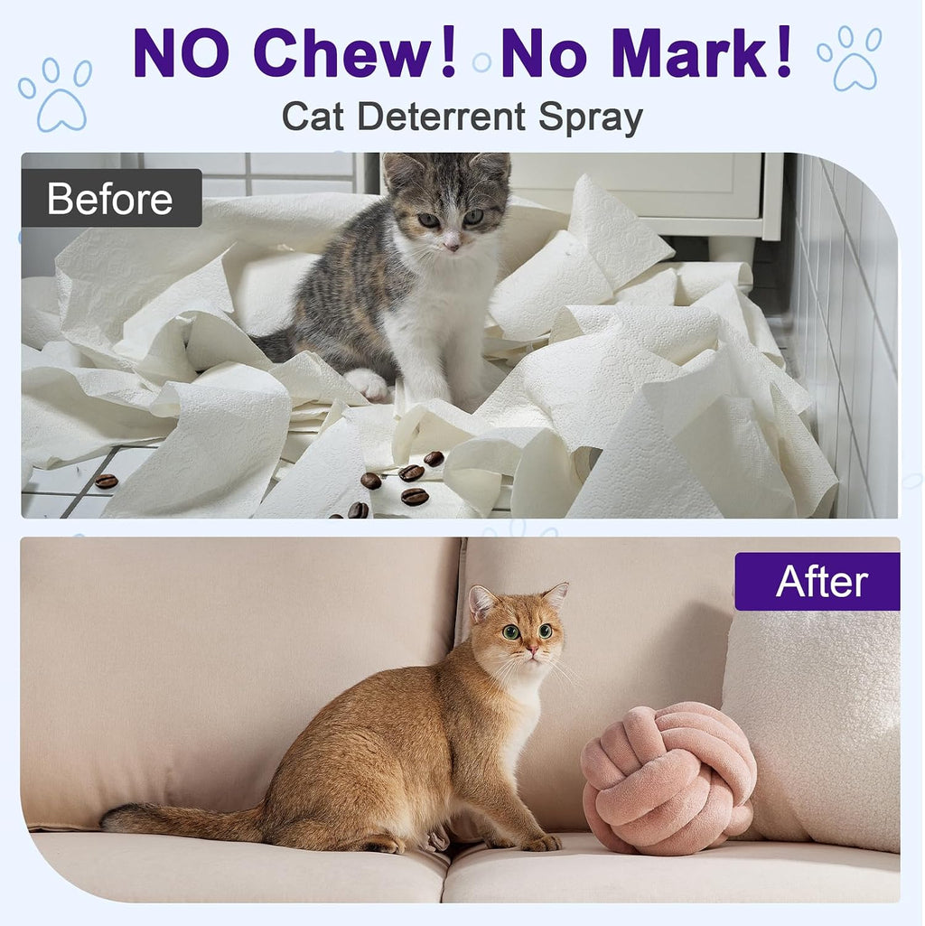 Using Bugazoom cat deterrent spray on indoor sofa and furniture.