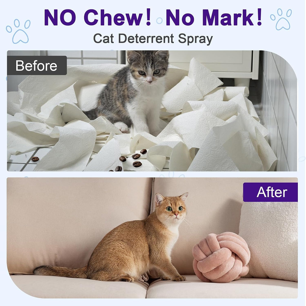 Using Bugazoom cat deterrent spray on indoor sofa and furniture.