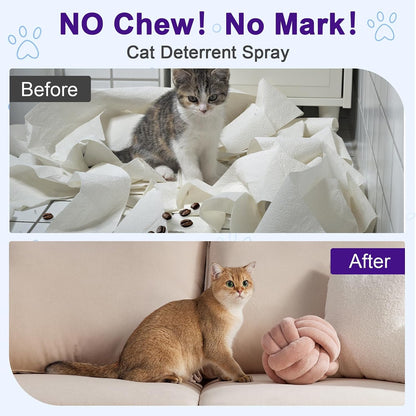 Using Bugazoom cat deterrent spray on indoor sofa and furniture.