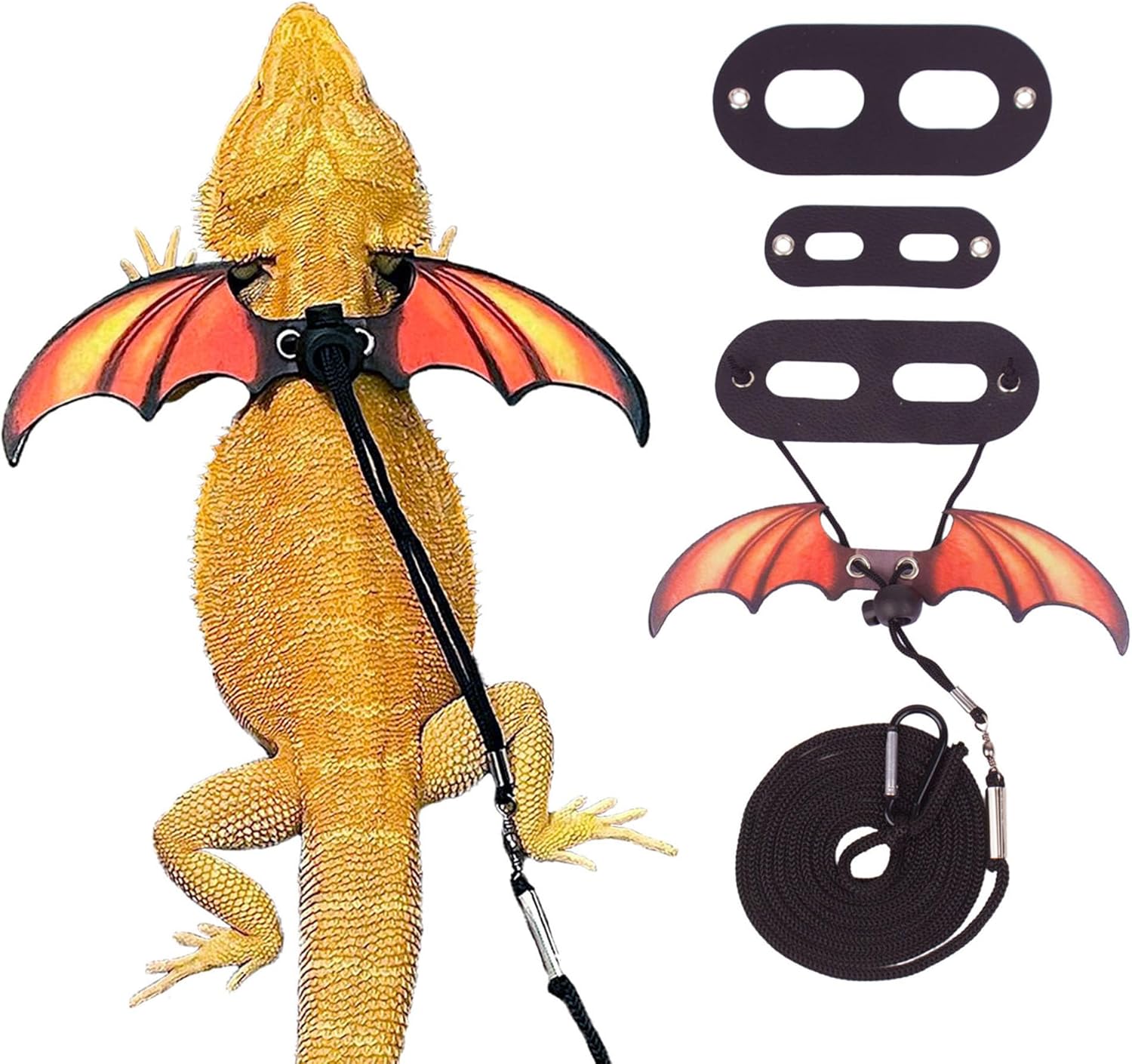 Adoggygo bearded dragon leather wing harness front view