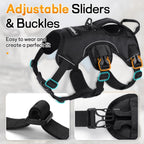 Rabbitgoo dog harness worn by a large breed dog